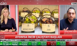 Tevfik Fikret Koca’dan Bakan Yumaklı’ya incir hasadı daveti