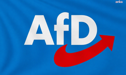 Almanya’da seçim öncesi AfD alarmı