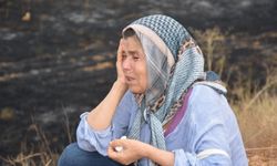 Aydın Karacasu'da zeytin ağaçları yanan kadın gözyaşlarını tutamadı