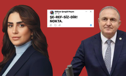 İYİ Partili Peçen, Karakaş'a ateş püskürdü
