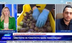 Koca, “Ne yapalım incir ağaçlarını da mı sökelim?”