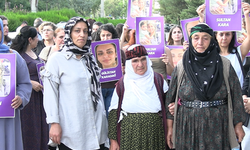 Diyarbakır'da Sultan Kara cinayeti protesto edildi