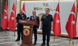 Çine'deki orman yangınıyla ilgili 2 kişi gözaltına alındı