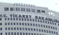Ticaret Bakanlığı: Kapıkule Gümrük Kapısı'nda 79 bin 790 adet serum ve infüzyon seti ele geçirildi