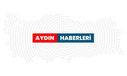 Nazilli’de Ceviz Toplarken Ağaçtan Düştü! 73 Yaşındaki Kadın Yaralandı