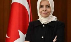 Ayşe Hilal Sayan Koytak Kimdir? Hangi Ülkenin Büyükelçisi? Kariyeri Nasıl İlerledi?