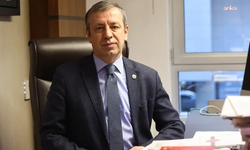 Rahmi Aşkın Türeli'den iktidara orman yönetimi eleştirisi