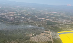 Soma'daki orman yangınına havadan ve karadan müdahale
