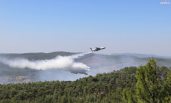 Muğla'da orman yangınının enerjisi büyük oranda düşürüldü