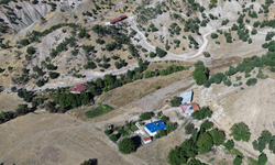 Tunceli’de hayvancılık yapan köylüler, artan ayı saldırılarından şikayetçi