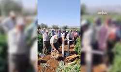 Üzüm fiyatına ilginç protesto: Bağlarda sela okuyup dua ettiler