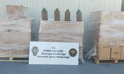 Aydın’da sahte zeytinyağı operasyonu