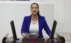 EMEP'li Karaca, 16 yaşındaki çocuk işçinin ölümünü Bakan Işıkhan'a sordu
