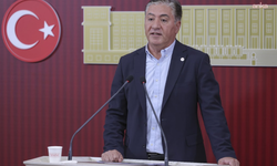 Emir: "Birinci dereceden fail saray iktidarıdır"