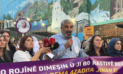 Rojin Kabaiş için Van'da yürüyüş gerçekleştirildi