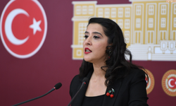 Asgari ücretli yurttaşın ötenazi talebi meclise taşındı