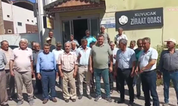 Kuyucak’ta hasat öncesi su alarmı: "Üreticimiz mağdur"