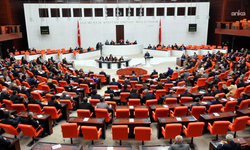 TBMM'de 28. Dönem 4. Yasama Yılı'nda 14 bin 878 yazılı soru önergesinin yalnızca 914'ü süresinde yanıtlandı