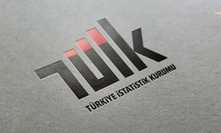 TÜİK: Ticari süt işletmelerince toplanan inek sütü yüzde 4,4 arttı