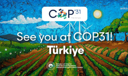 COP31, "taahhütlerden uygulamaya geçiş" hedefiyle toplanmaya hazırlanıyor