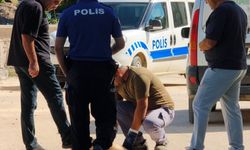 Sinop’ta sokak köpeği silahla vurularak öldürüldü