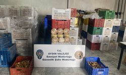 Aydın’da sahte gıda operasyonu!