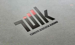 TÜİK: Ar-Ge harcamaları 2025’te 980,4 milyar liraya yükseldi