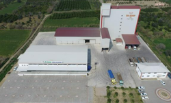 Aydın'da 47 yıllık üretici kooperatifi konkordato ilan etti
