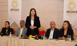 DEM Partili Beritan Güneş'ten fon krizi değerlendirmesi: "Çok büyük bir vurgunla karşı karşıyayız"