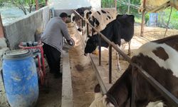 Süt üreticisi: "Yerinde sayar olduk böyle giderse batacağız"