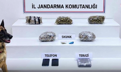 Aydın'ın da aralarında bulunduğu 32 ilde operasyon!