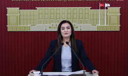Kılıç: "Sandıkta alamadığınız İzmir'i transferlerle alamazsınız"