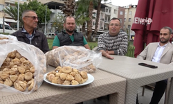 Germencik'te incir üreticileri isyan etti!