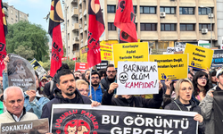 Hayvan hakları savunucularından köpeklerin toplatılmasına tepki