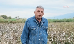 Artan maliyetlerden dert yanan üretici: "Çiftçinin dilinde tüy bitti"