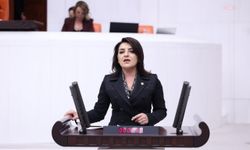 CHP'li Kış: "Mersin Büyükşehir Belediyesiyle ilgisi olmayan görüntüler servis ediliyor"
