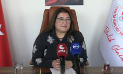 Hekim Birliği’nden kadın doğum uzmanlarının ultrason işlemleri için düzenleme çağrısı
