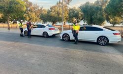 Aydın’da ÇEMBER-146 operasyonu: 31 şahıs yakalandı