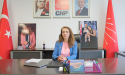 CHP Genel Başkan Yardımcısı İlgezdi: "Grip mevsimi kapıya dayanmışken aşı yok"