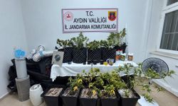 Kuşadası’nda Skunk yetiştirilen eve baskın!