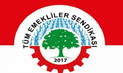 Tüm Emeklilerin Sendikası: "Emekliye insanca yaşam ücreti vermek enflasyon değil, adalet meselesidir"