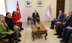 YÖK Başkanı Özvar, Birleşik Krallık Ankara Büyükelçisi Anderson ile görüştü