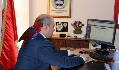 Aydın'da bir ilkokul müdürü, okulda 'kuş parkı' oluşturdu
