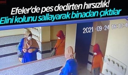 Efeler'de pes dedirten hırsızlık! Elini kolunu sallayarak binadan çıktılar