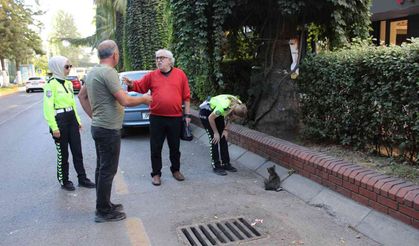 Efeler'de ayağı kırılan kediyi, kadın trafikçilerin dikkati kurtardı