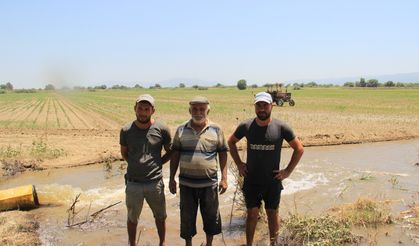 Aydın Ovası’nda çiftçilerin 44 derece sıcakta ekmek mücadelesi