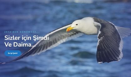 Sırpça ve Urduca Çeviri Hizmetleri