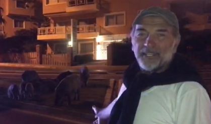 Ünlü oyuncudan Kuşadası’nda domuz paylaşımı