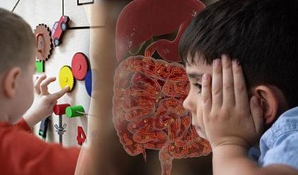 Bilim dünyasını heyecanlandıran gelişme: Otizmde hızlı teşhis umudu! ‘1-2 yaş arası her çocukta rutin hale getirilebilir’