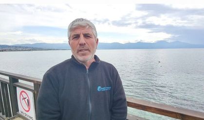 Denizden yüzerek çıkan yaban domuzu şaşırttı